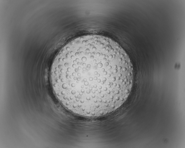 X0000111230646200907091336