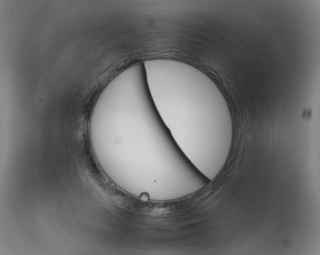 X0000111230647200907091336