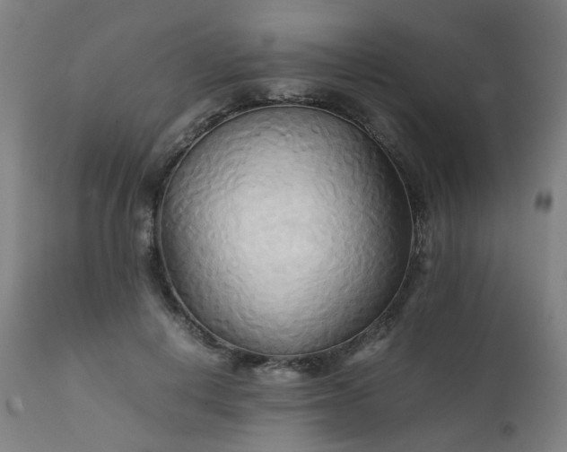 X0000111230648200907091336