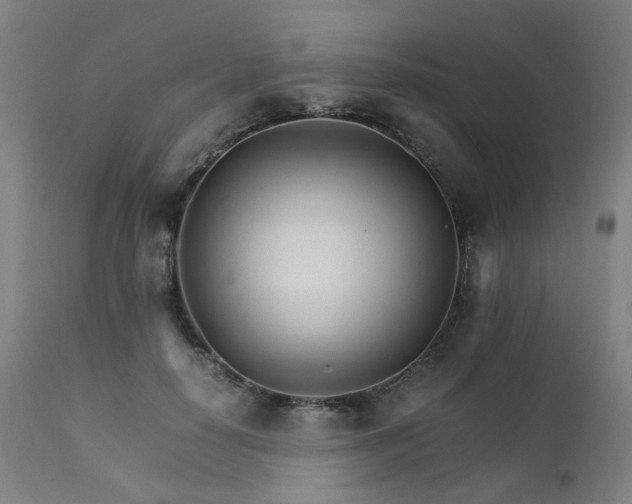 X0000111230650200907091336