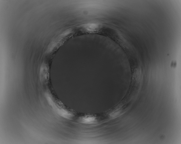 X0000111230651200907091336