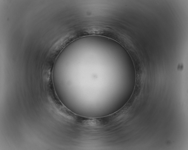 X0000111230652200907091337