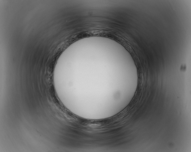 X0000111230653200907091337