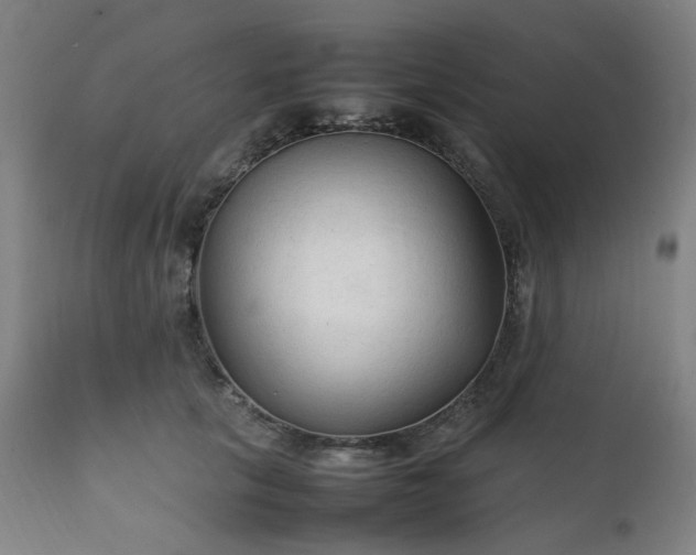 X0000111230657200907091337