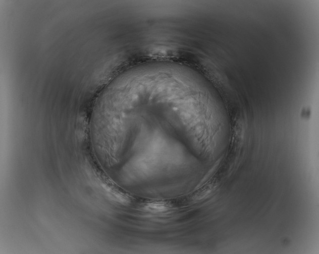 X0000111230659200907091337