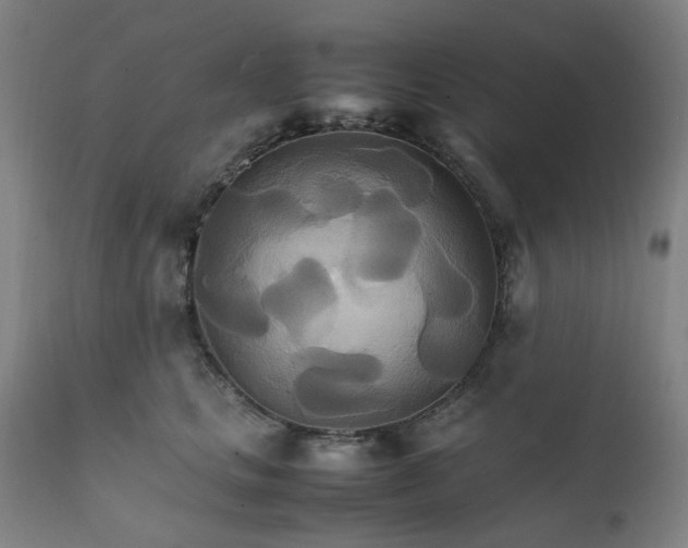 X0000111230661200907091337