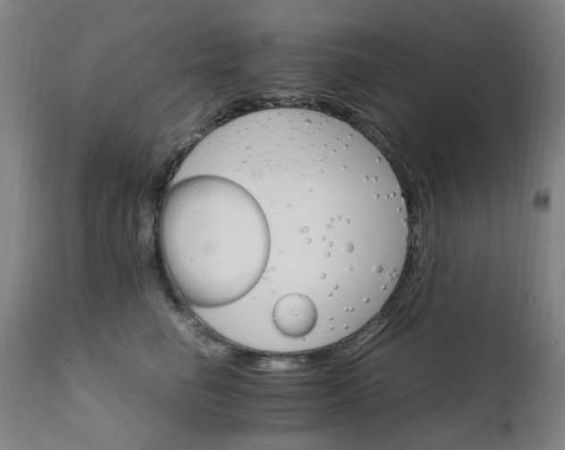 X0000111230662200907091337