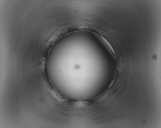 X0000111230664200907091337