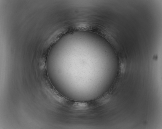 X0000111230665200907091337