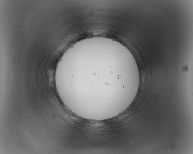 X0000111230667200907091337