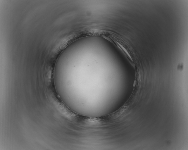 X0000111230668200907091337