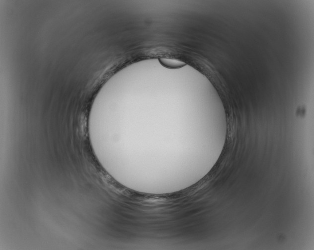 X0000111230669200907091337