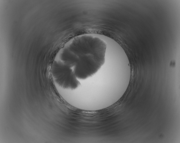 X0000111230671200907091337