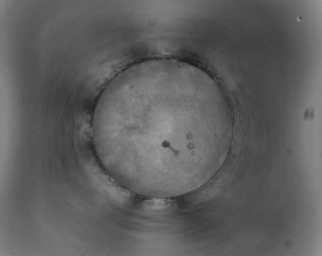 X0000111230672200907091337