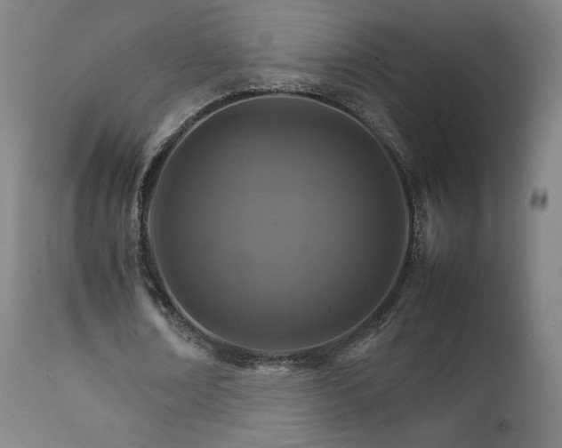 X0000111230674200907091336