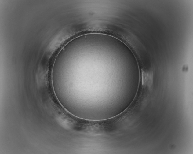 X0000111230675200907091336
