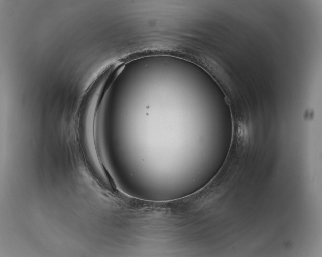X0000111230676200907091336