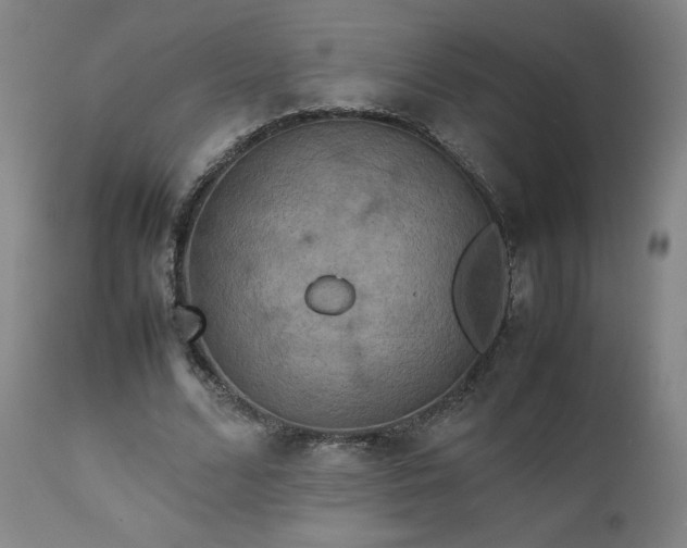 X0000111230680200907091336