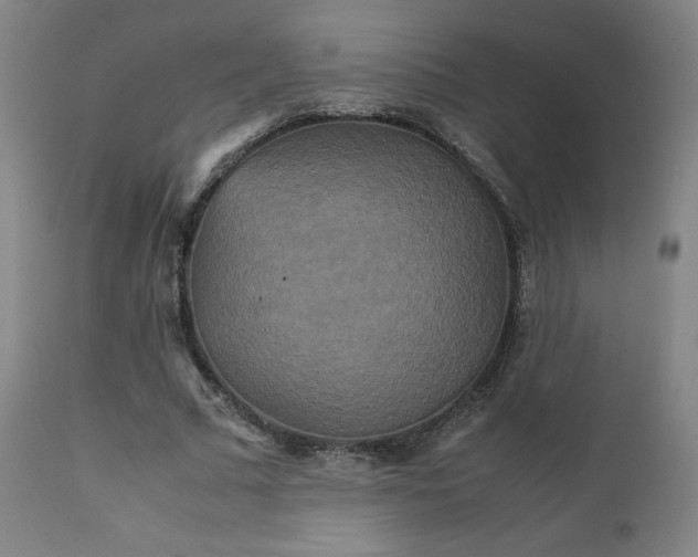 X0000111230681200907091336