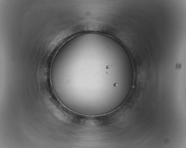 X0000111230683200907091336