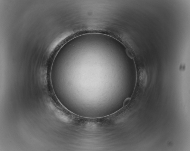 X0000111230684200907091336