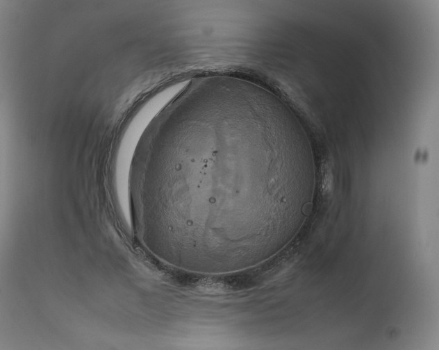 X0000111230685200907091336