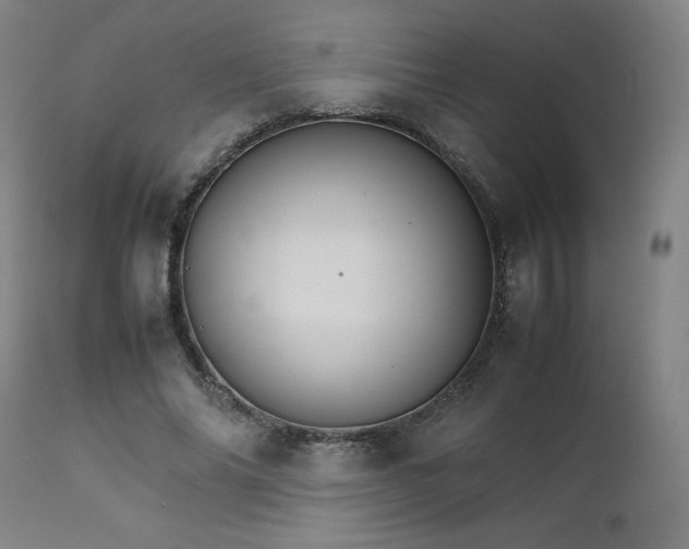 X0000111230686200907091336