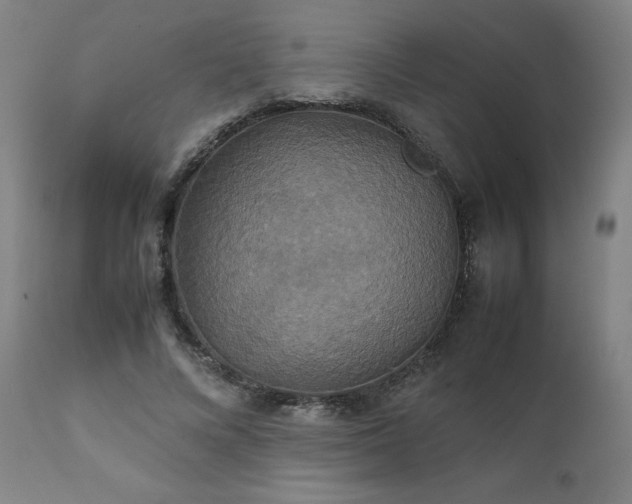 X0000111230688200907091336
