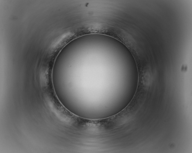 X0000111230690200907091336