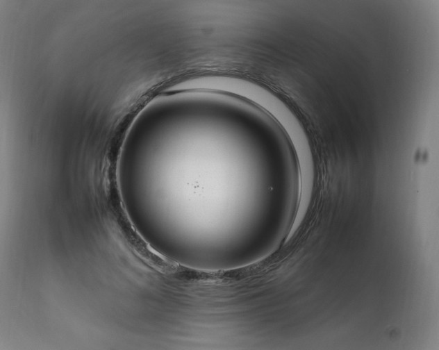 X0000111230692200907091336