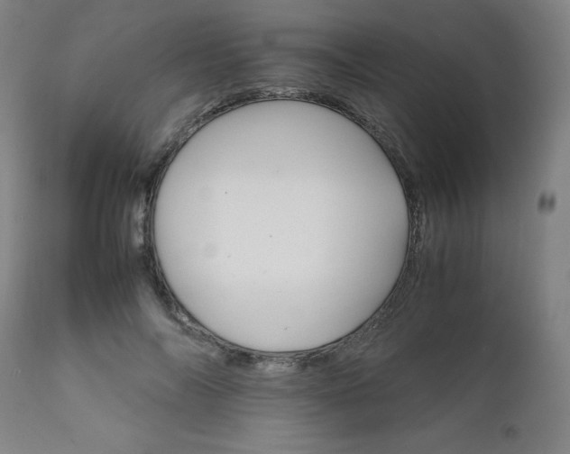 X0000111230694200907091336