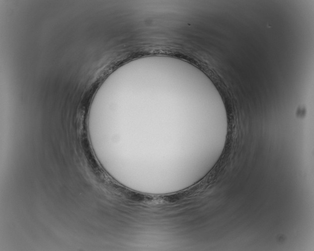 X0000111230695200907091336