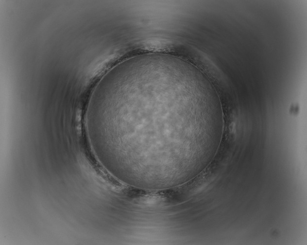 X0000111230696200907091336