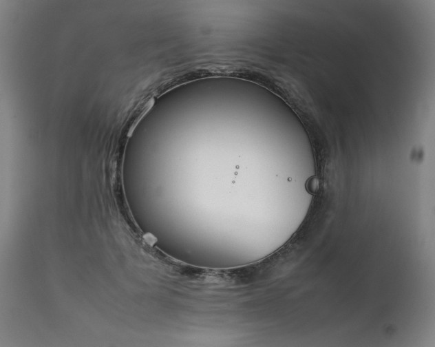 X0000111230697200907091336