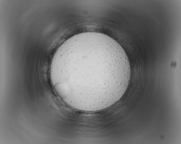 X0000111230698200907091336