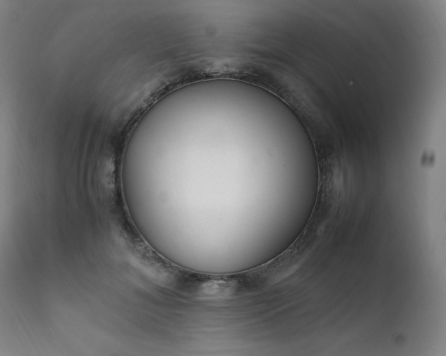 X0000111230700200907091336