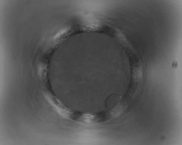 X0000111230701200907091336