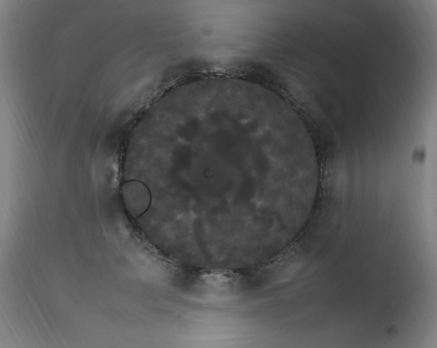 X0000111230703200907091336