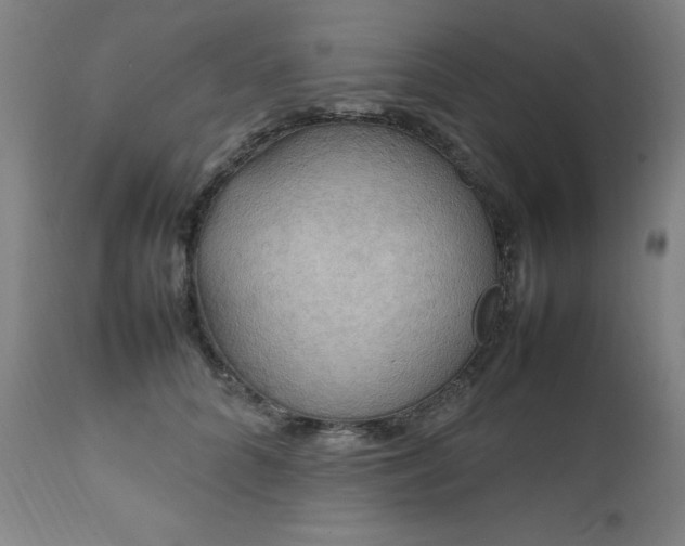 X0000111230704200907091336