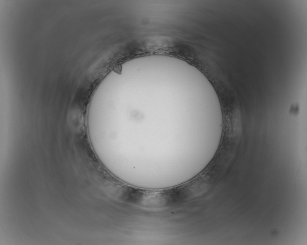 X0000111230705200907091336