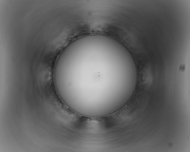 X0000111230706200907091336