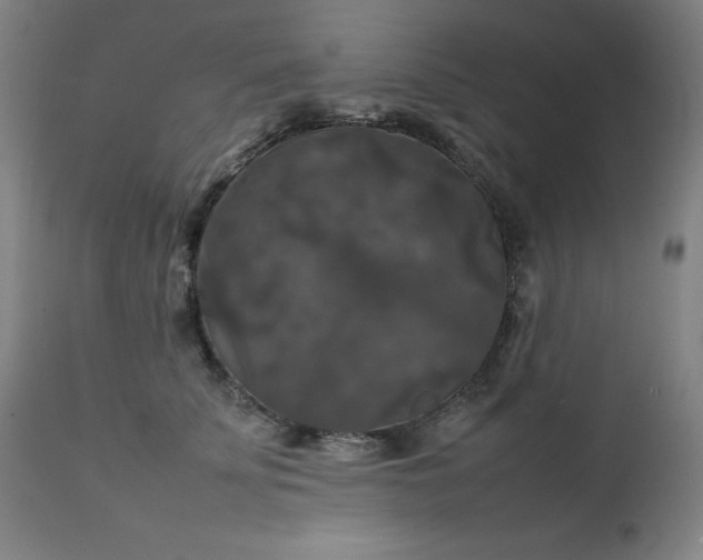 X0000111230707200907091336