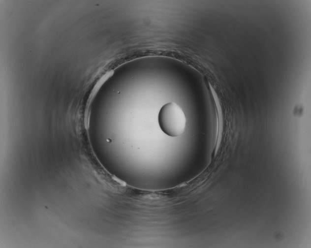 X0000111230708200907091335