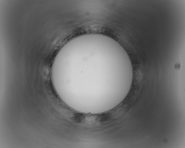 X0000111230709200907091335