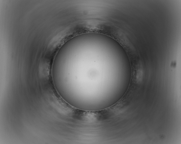 X0000111230710200907091335