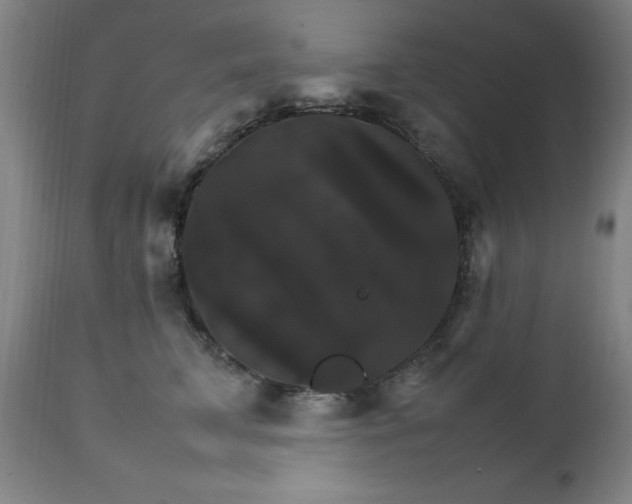 X0000111230711200907091335