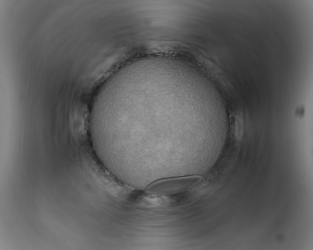 X0000111230712200907091335
