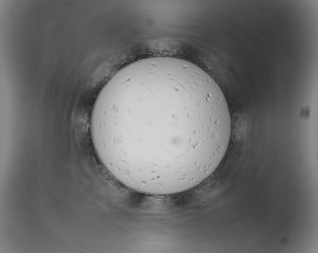 X0000111230713200907091335
