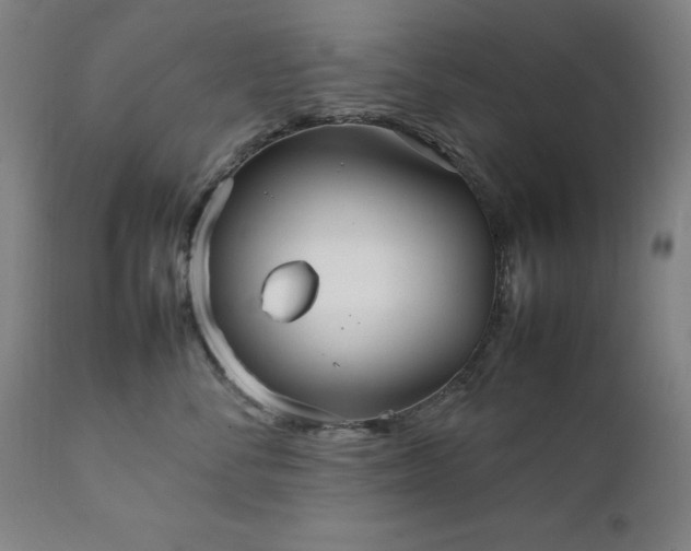 X0000111230716200907091335