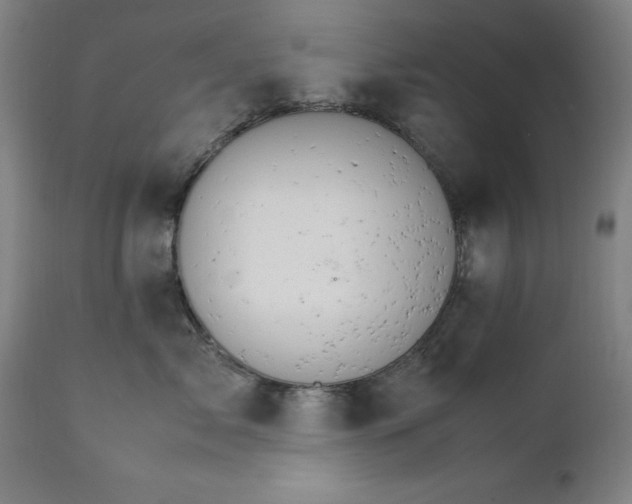 X0000111230717200907091335